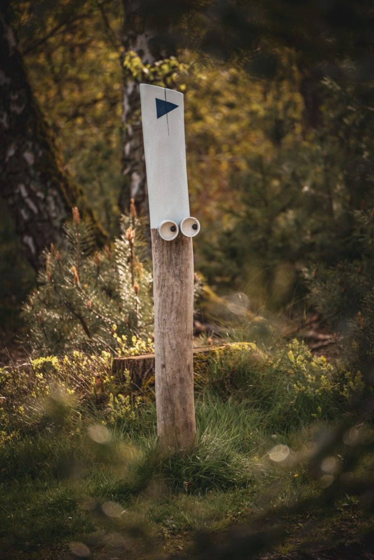 ©Kattevennen