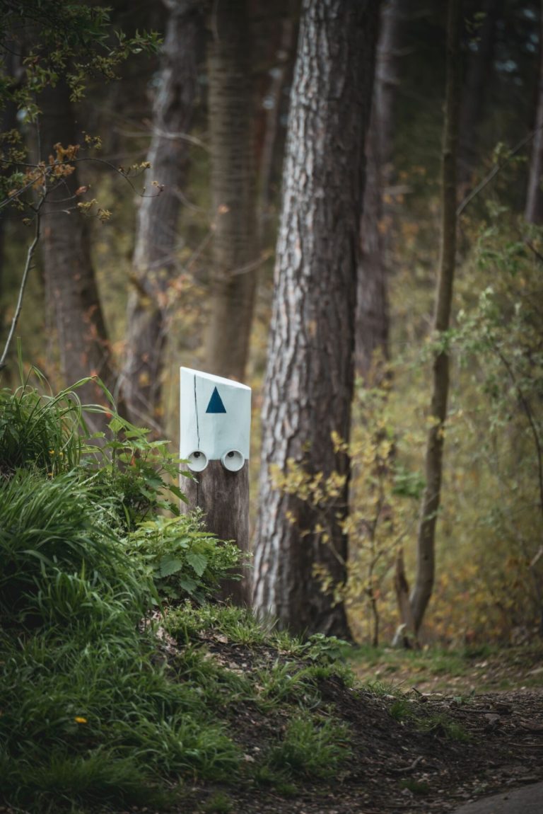 ©Kattevennen
